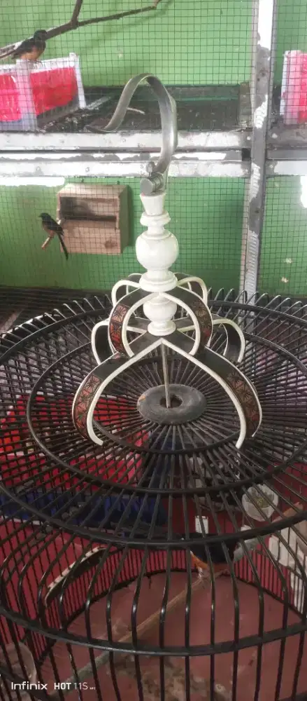 Muray APBN mau cuplikan nya WA