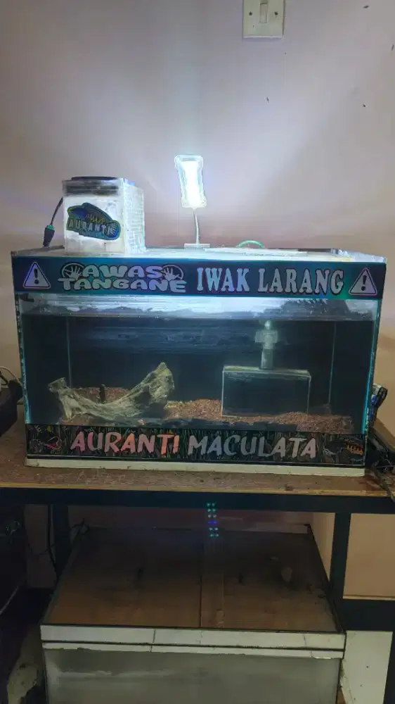 Aquarium 50x30x30