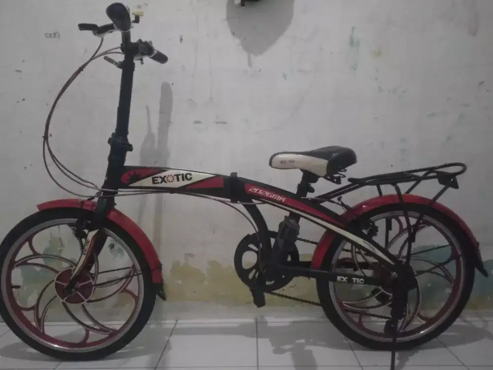 Sepeda exotic dewasa