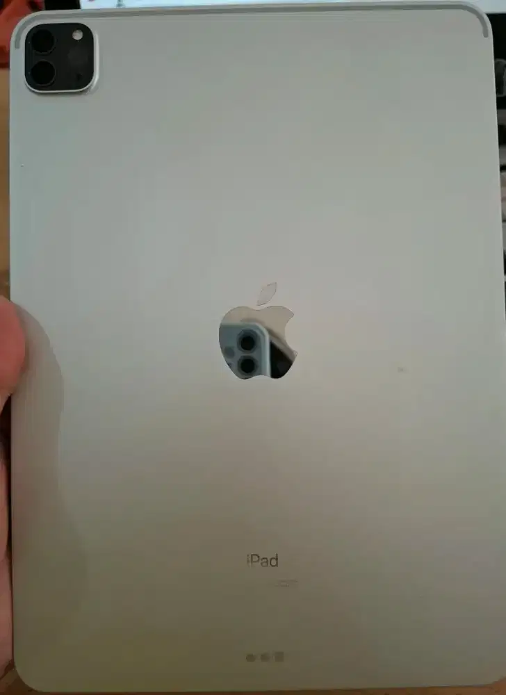 Ipad Pro Gen 2 11 inch ( 256 gb )