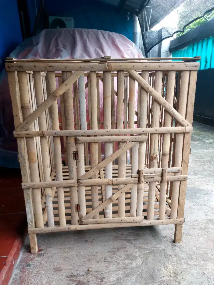 Kandang ayam ukuran 70