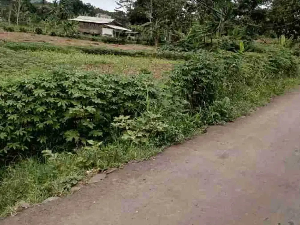 Dijual tanah  murah di Rumpin Bogor