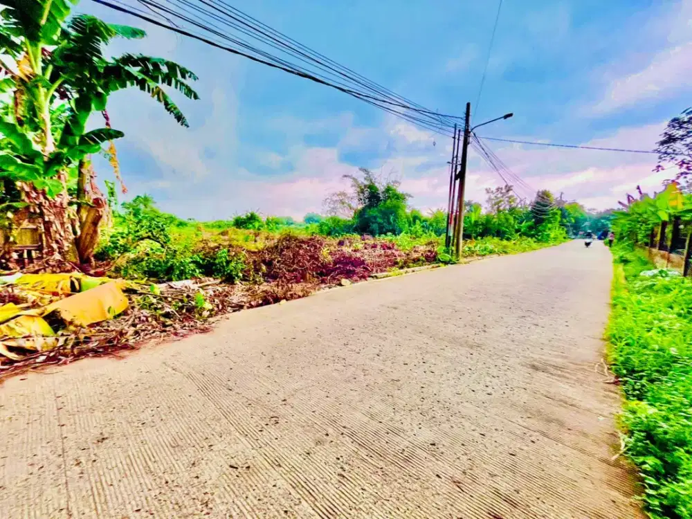 Lokasi Nempel BSD, Tanah Ciater Cocok Untuk Bangun Hunian