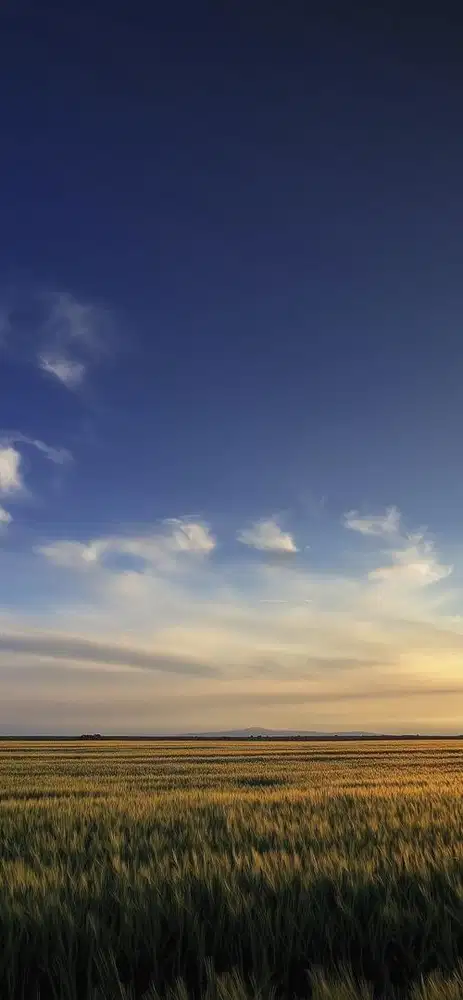 Admin packing online shop