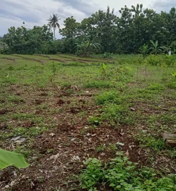 Jual Tanah seluas 16.187 M2