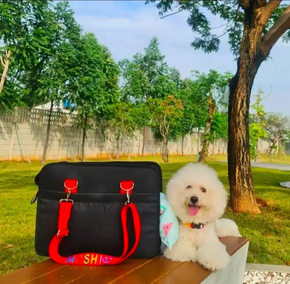 MOCHI GO BAG PET CARRIER/PET BAG