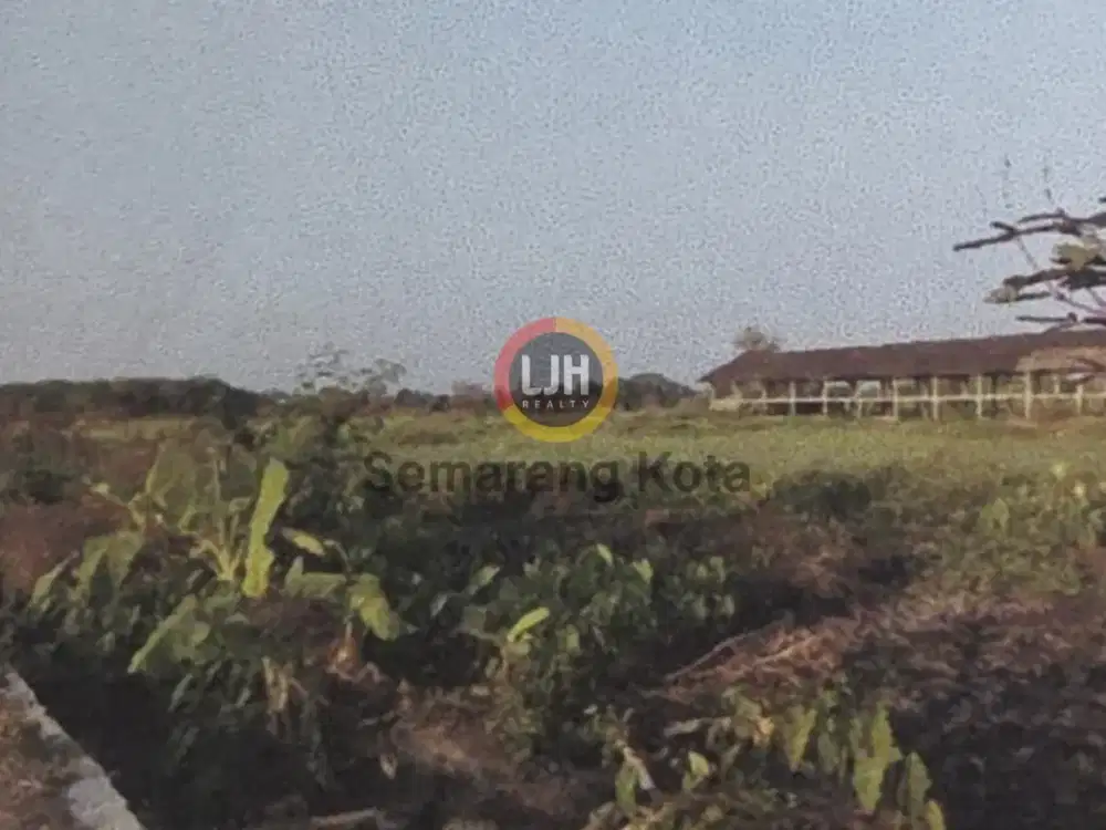 Kavling cocok untuk industri di Klaten