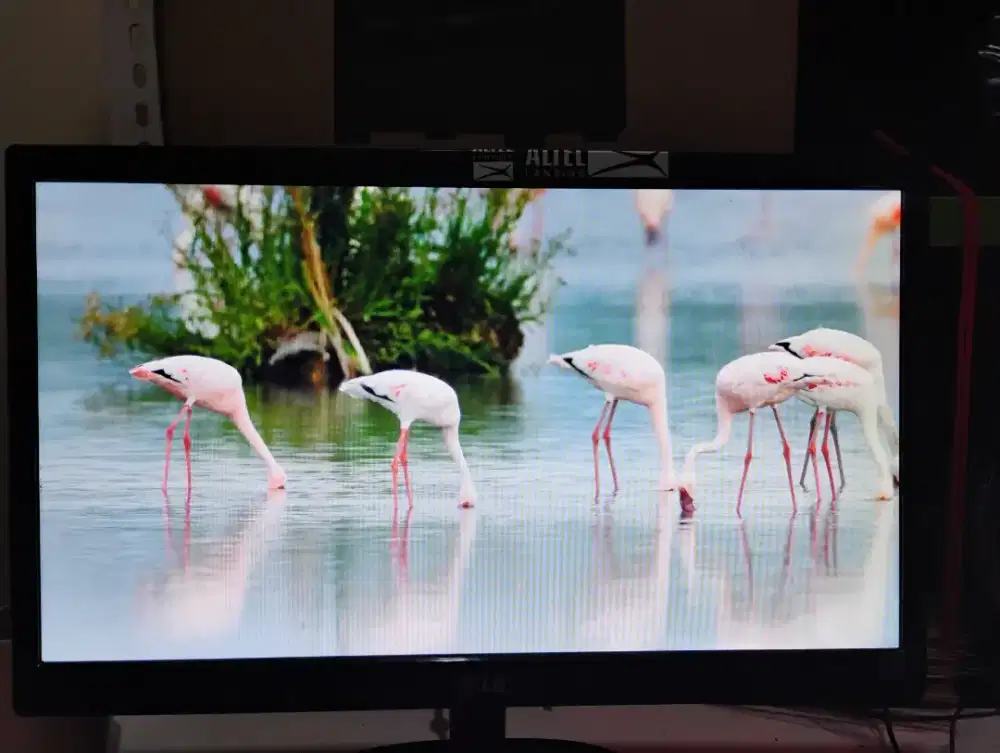 Monitor Komputer LG 20 Inch