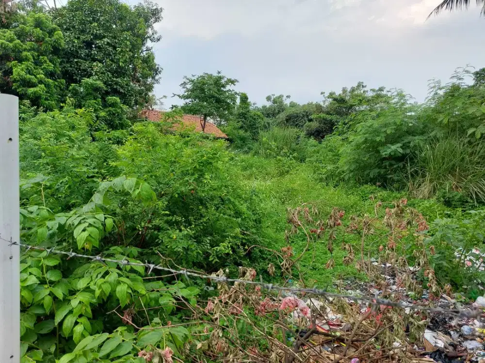 Dijual Tanah Zona Hunian Di Pasir Sari Cikarang