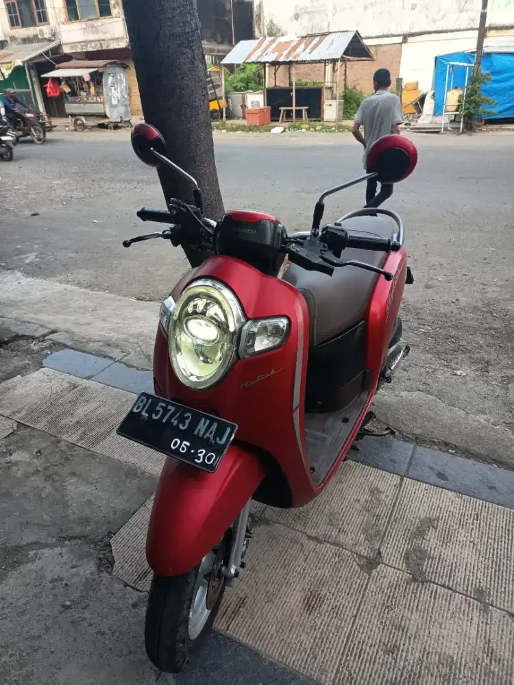 Scoopy stylis 2020 pajak hidup