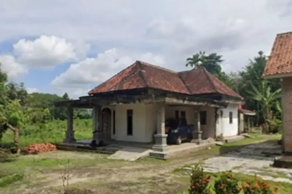 rumah gedung 300 nego