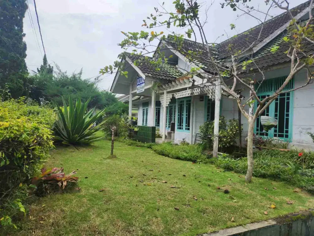 investasi menarik villa palm garden dibawah NJOP