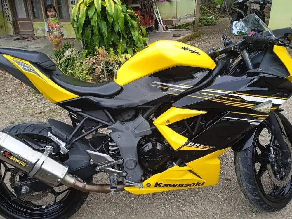 ninja RR mono 2015