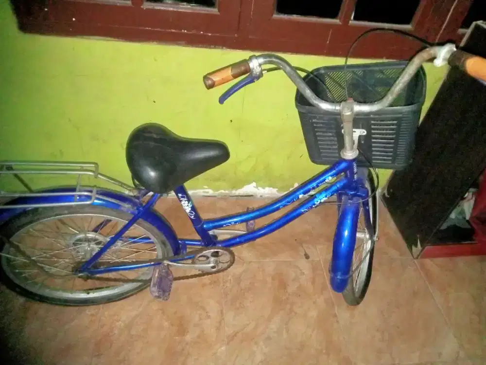 Dijual Sepeda bekas pemakaian normal