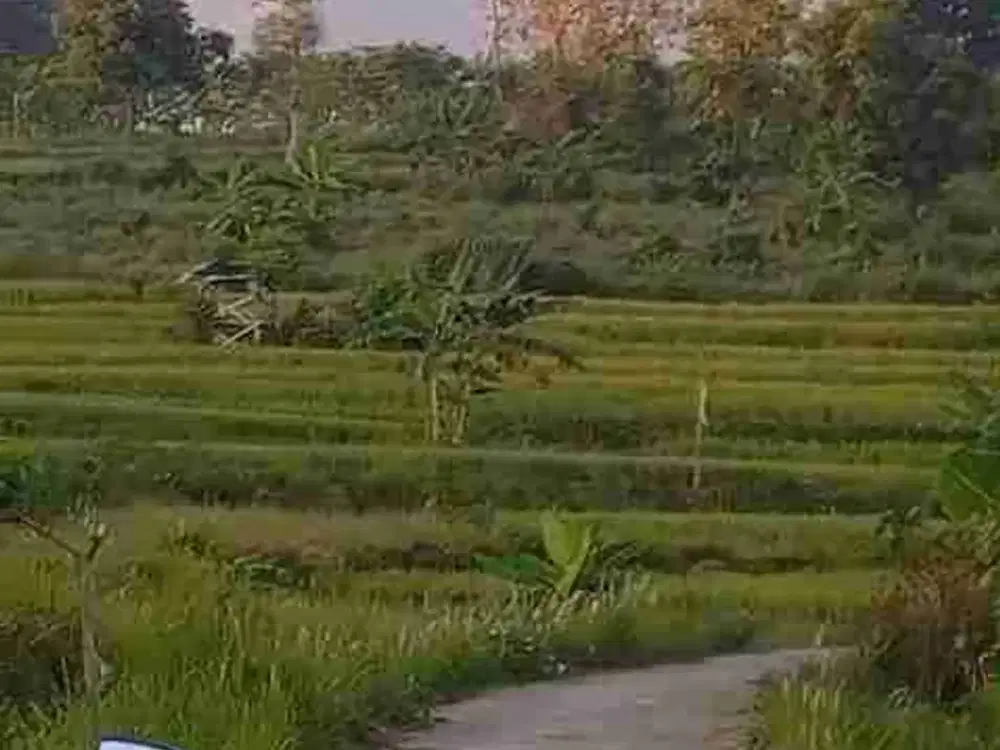 DI JUAL TANAH MURAH VIEW GUNUNG AIR MELIMPAH PACET SHM