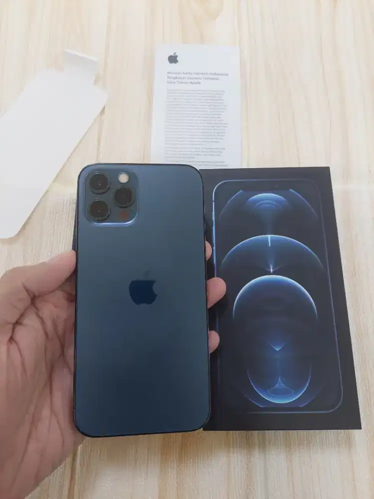 Iphone 12 Pro 256 Gb Second Resmi ibox