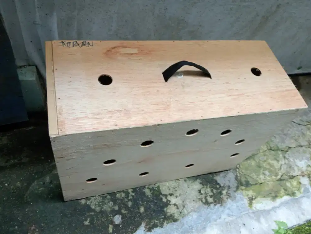 Box untuk kirim ayam ukuran jumbo