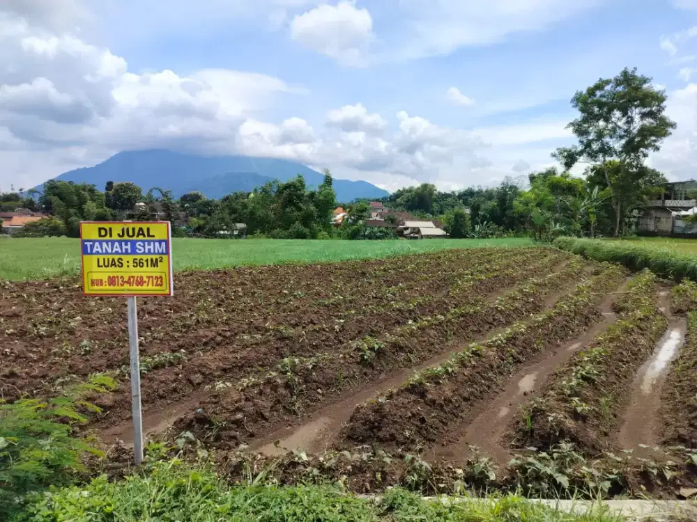 Dijual Tanah Cocok buat Villa