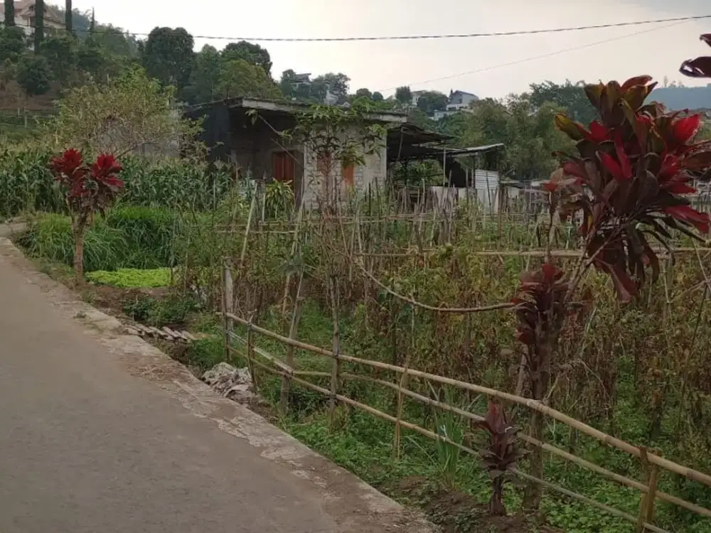 Tanah dijual di pesanggrahan Batu Lt560 Leb20 SHM view gunung