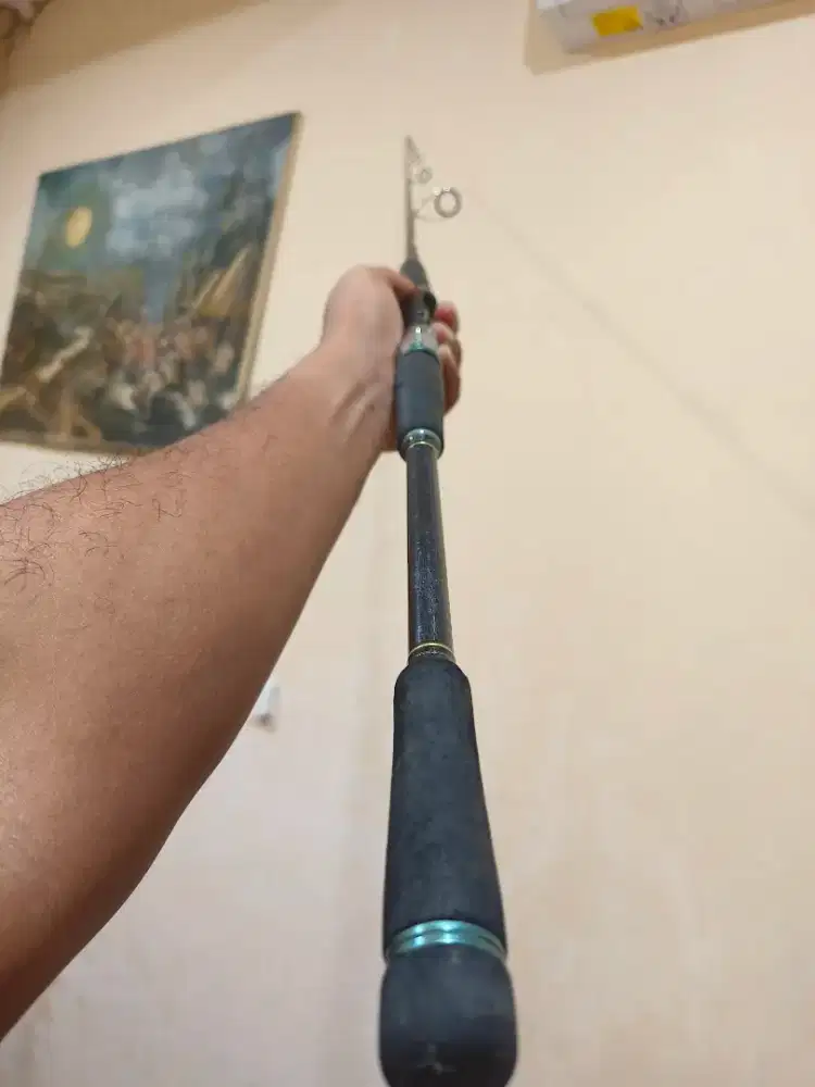 Joran pancing daiwa saltist jerk comander