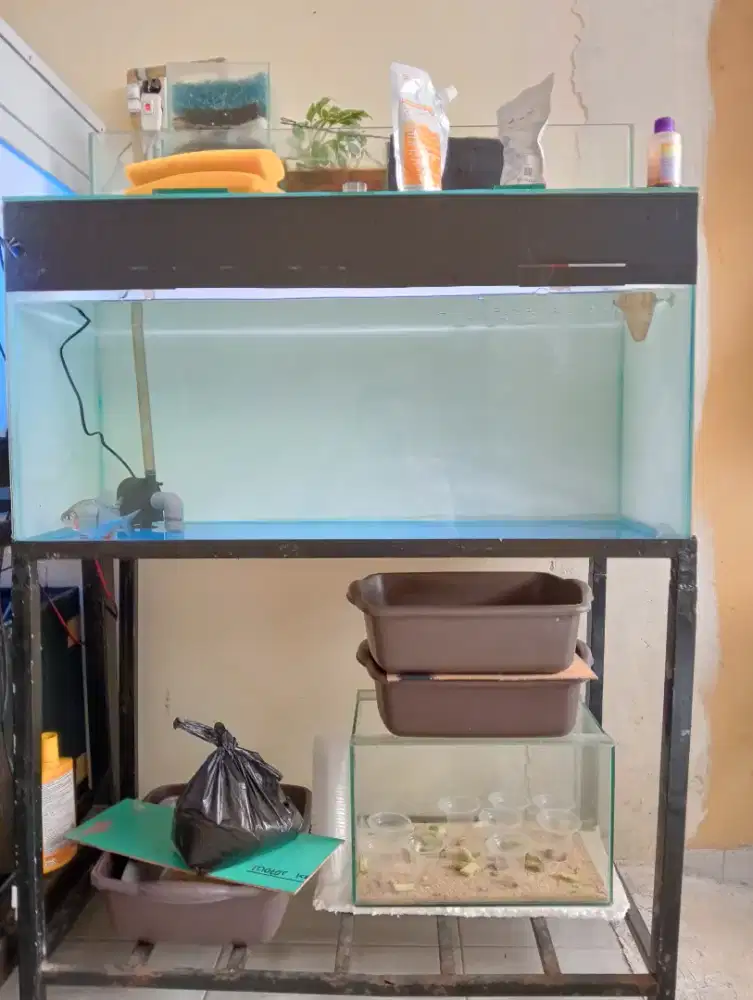 Aquarium dan rak