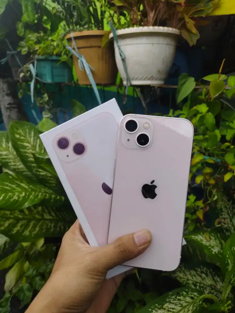 Iphone 13 Inter wifi only