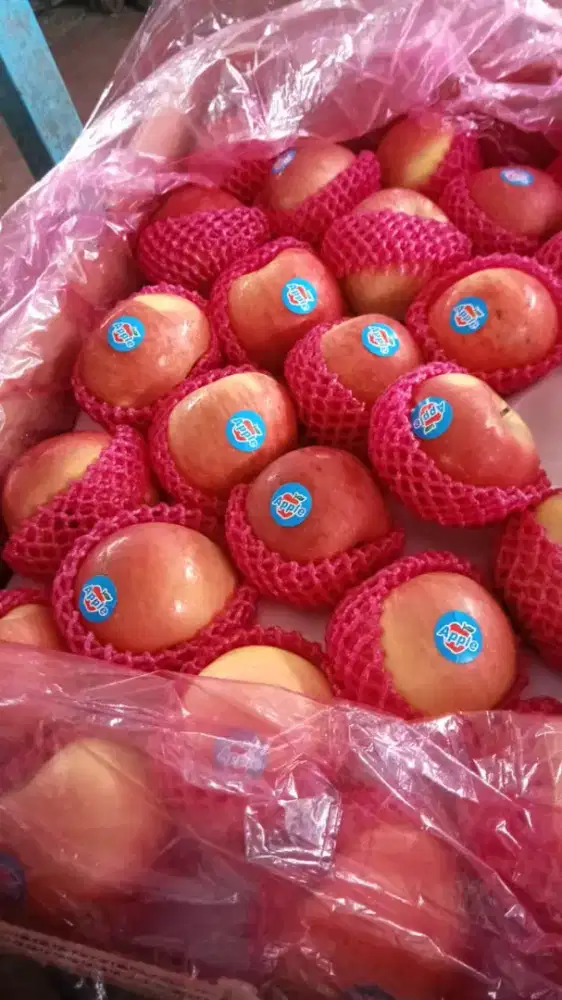 Lowongan kerja Akuntan dapur MBG