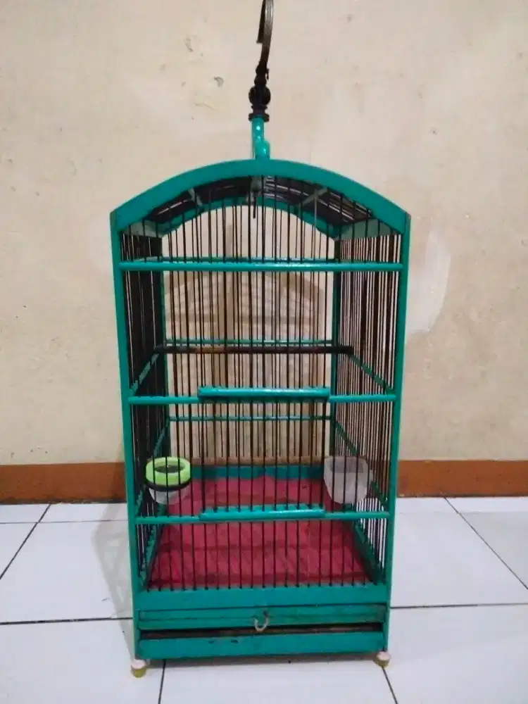 Kandang no 3 layak pakai