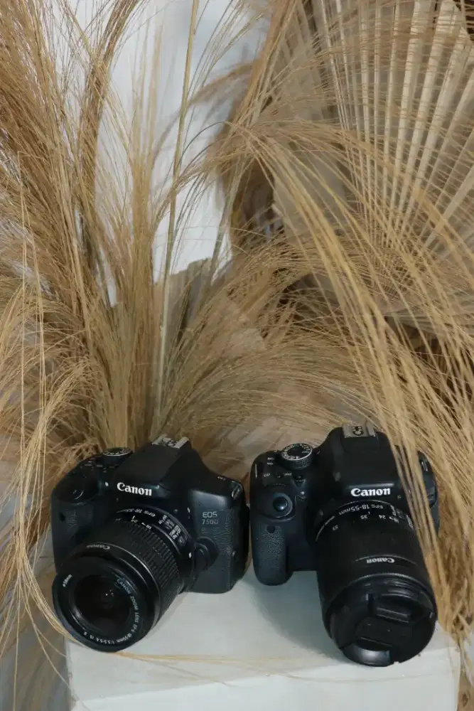 CANON 2 KAMERA 700D & 750D