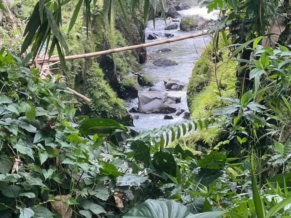 Di jual tanah loss sungai di dekat kota Tabanan