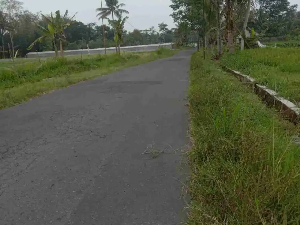 dijual tanah pekarangan cocok untuk villa dan resto lokasi sangat strategis