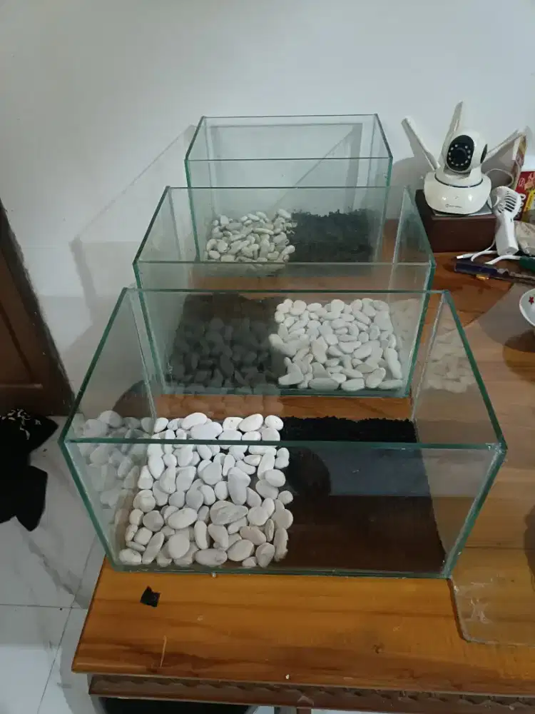 For sale aquascape/aquarium uk. 35cm x 20cm x 20cm tebal kaca 5mm