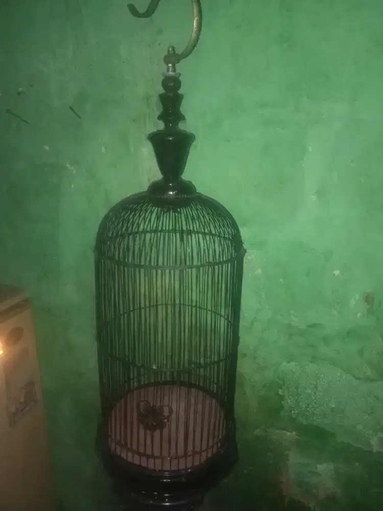 Sangkar bekas pleci a1