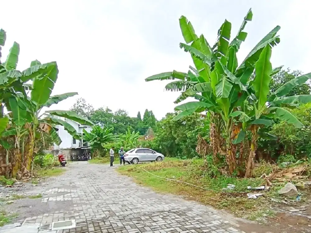 Jual Tanah di Jl. Palagan Sleman Dekat Hotel HYATT Siap Balik Nama