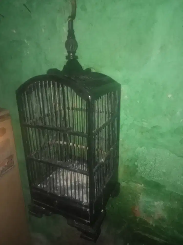 Sangkar kotak burung kecil Bcd1