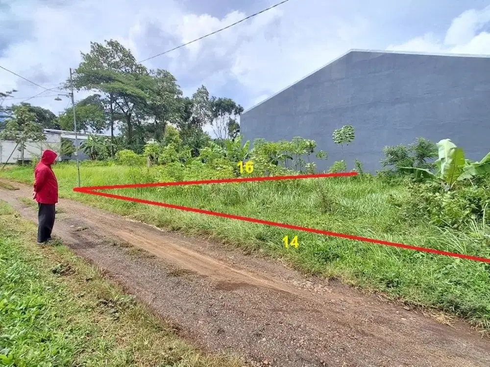 Tanah SHM Murah Randuagung Singosari Malang Jual cepat Edisi B.U Poll