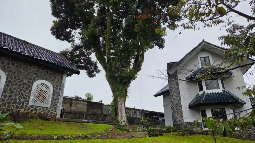 Villa Cantik dan Luas di Cisarua Bogor