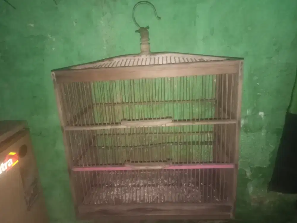 Sangkar tampung burci bd1