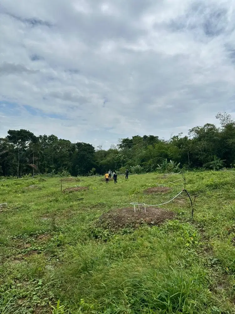 dibutuhkan ART nginep/pp