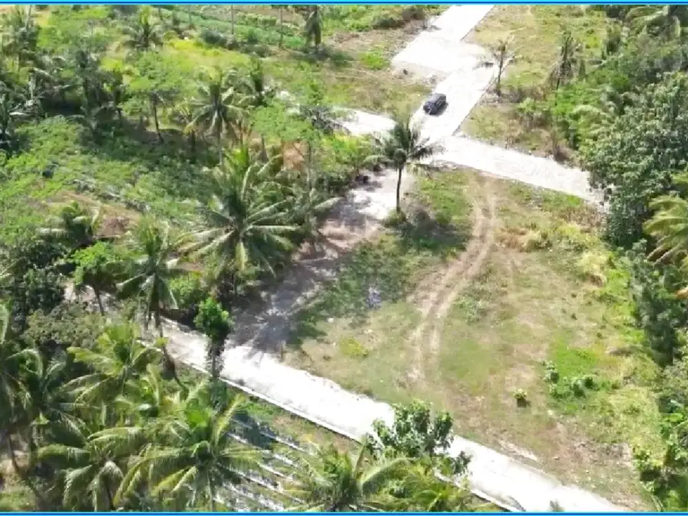 Tanah Dijual Dekat Kampus UAD 4 Tawangsari Jogja 100 Jutaan