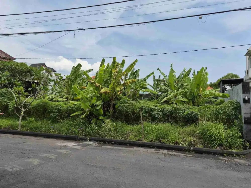 dijual tanah komersil renon denpasar