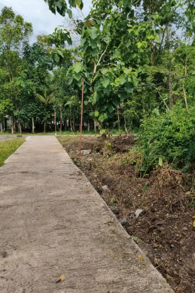 DIJUAL TANAH PEKARANGAN