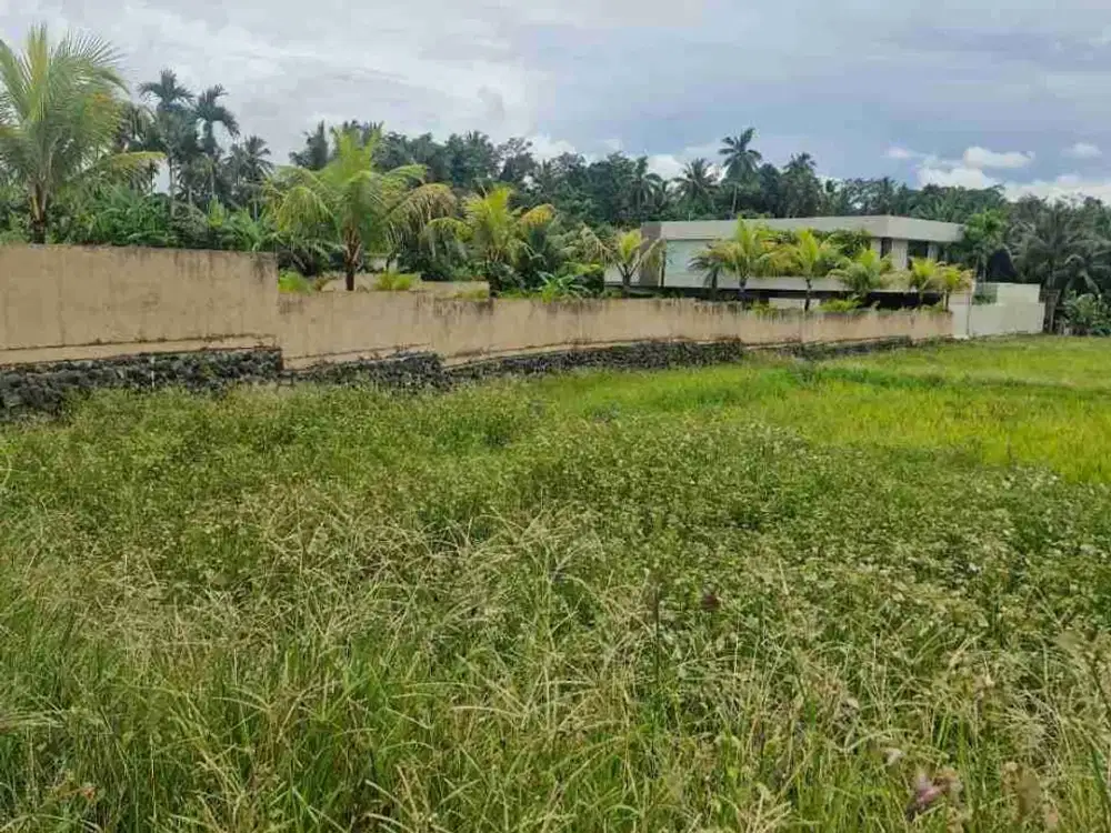 Di jual cepat tanah BUC di bawah pasaran pinggir jalan aspal sangat cocok untuk komplex villa