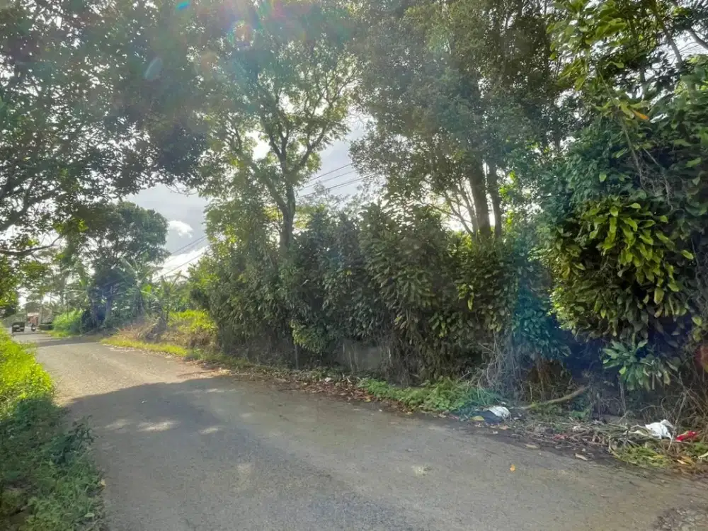 Tanah Dekat Sarana Umum Udara Sejuk Bojong Purwakarta Dijual Murah