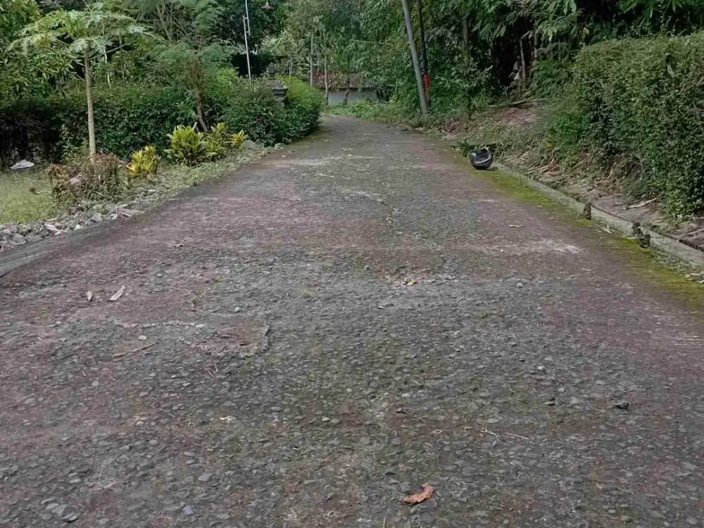 Tanah Dijual di Kedunggalih pengasih Kulon Progo