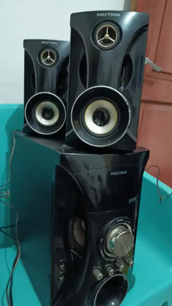 Polytron Multimedia Audio