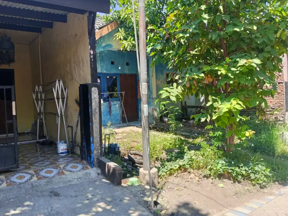Di jual rumah tapi hitung tanah saja