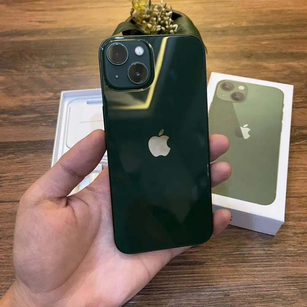 Iphone 13 256GB Green Resmi