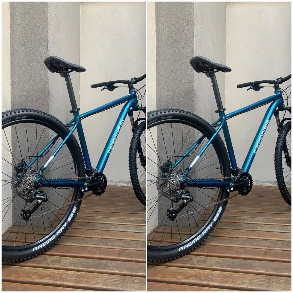 cannondale trail size M