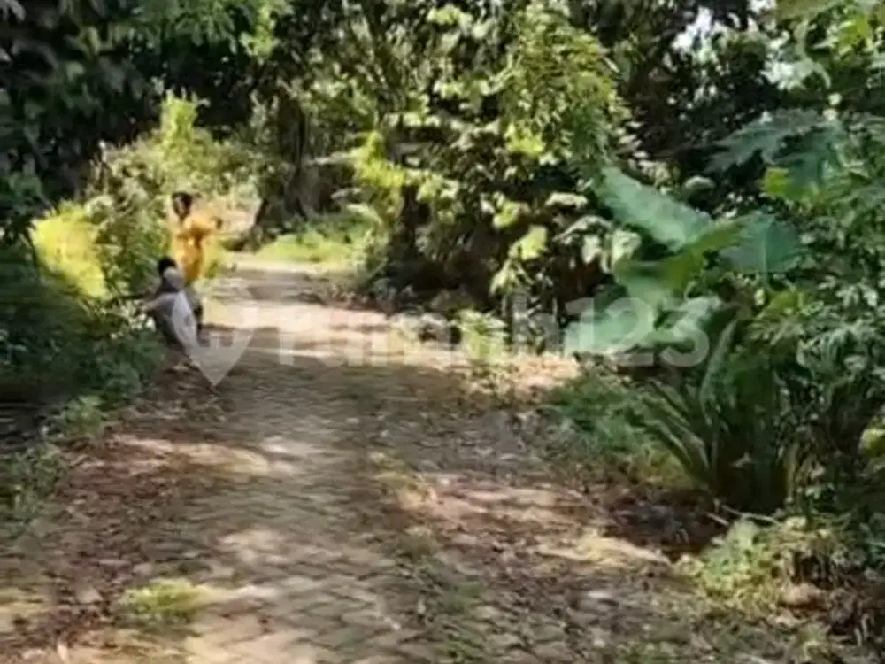 Tanah Siap Bangun Bentuk Kotak Suasana Adem Nyaman di Tangerang